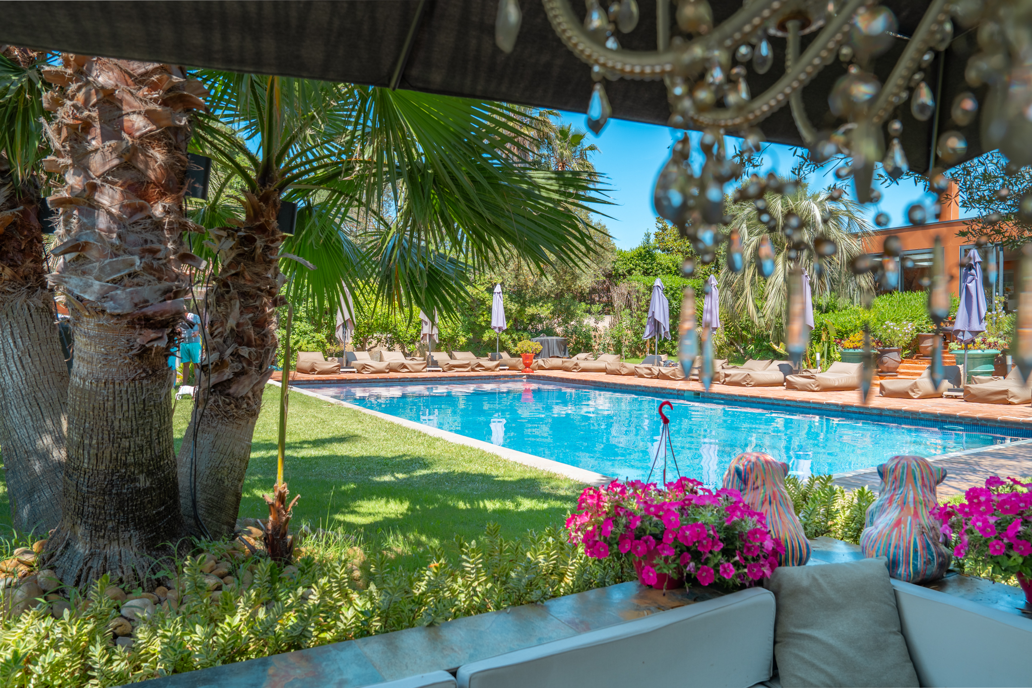 Piscine chauffée 30°C sous pergola avec bougainvilliers
