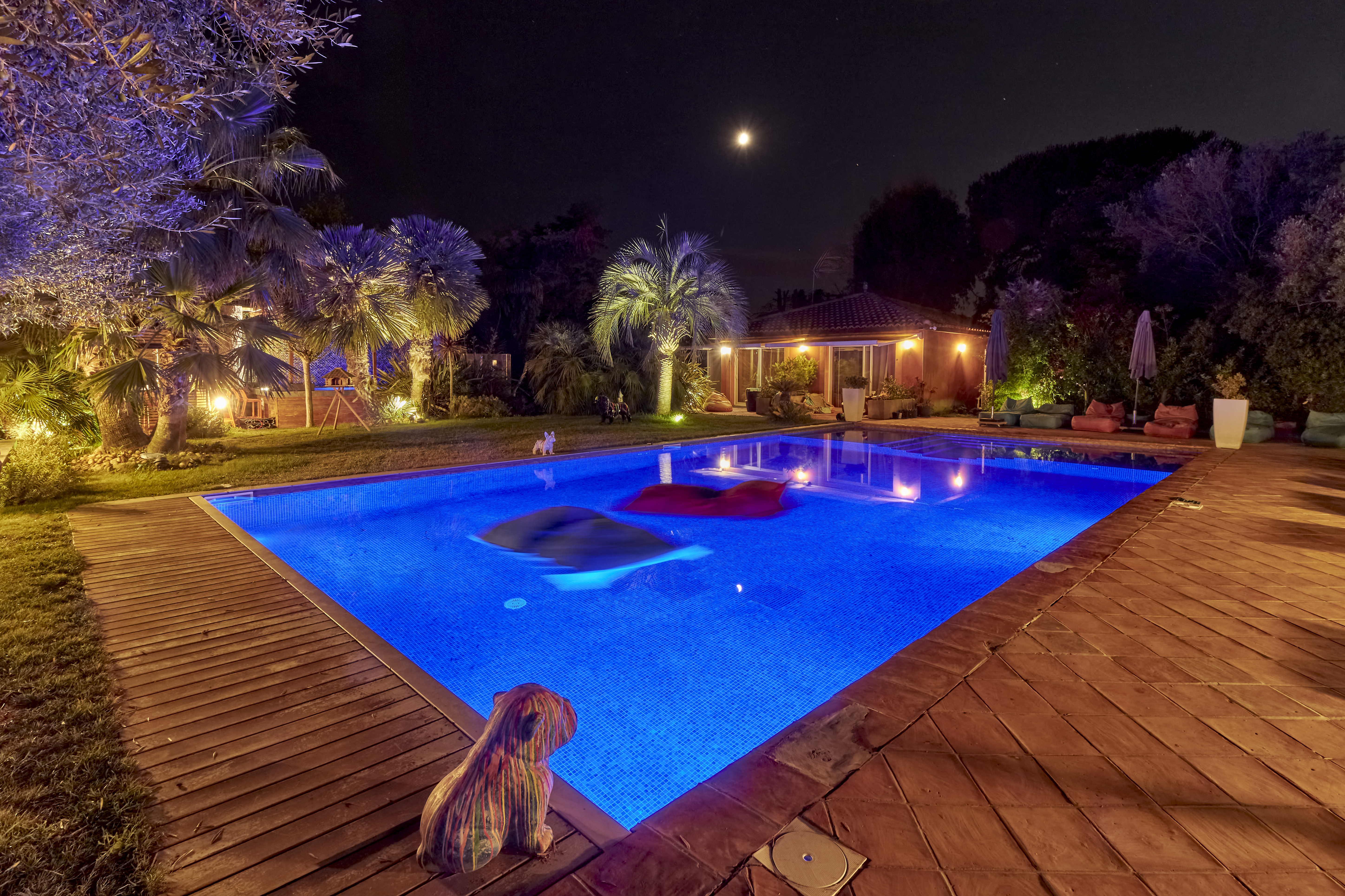 Piscine illuminée la nuit avec sculpture peacock